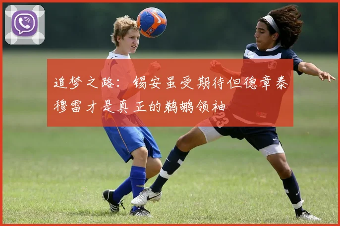 追梦之路：锡安虽受期待但德章泰穆雷才是真正的鹈鹕领袖