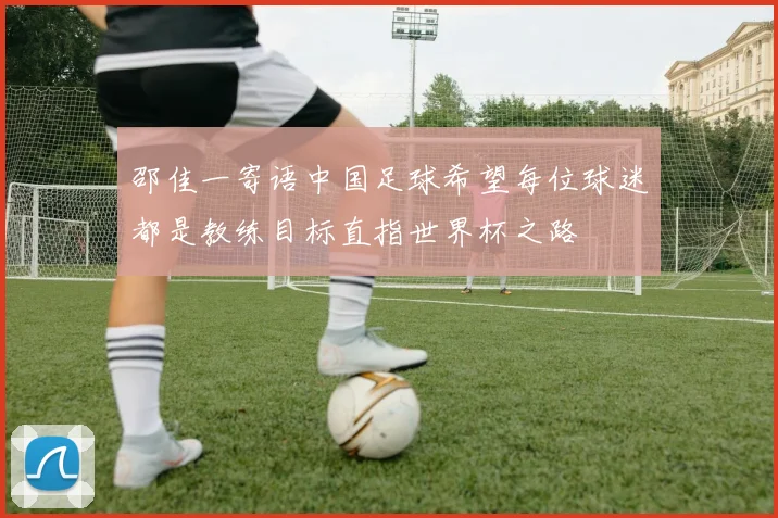 邵佳一寄语中国足球希望每位球迷都是教练目标直指世界杯之路