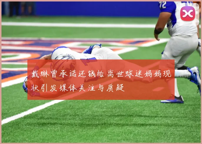 戴琳曾承诺还钱给离世球迷妈妈现状引发媒体关注与质疑
