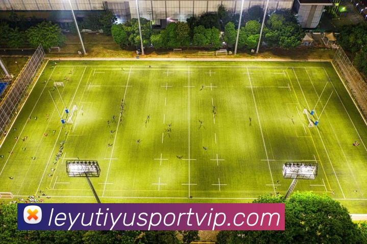 乐鱼体育APP 封面图